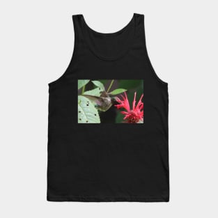 A Hummingbird partaking in Bee Balm Nectar Tank Top